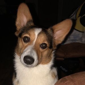 Meet your Posher, Kerrie